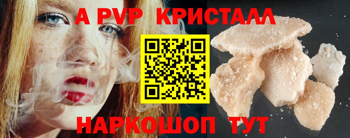A PVP СК КРИС Сокол