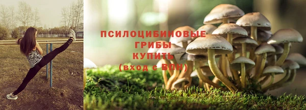 винт Покров