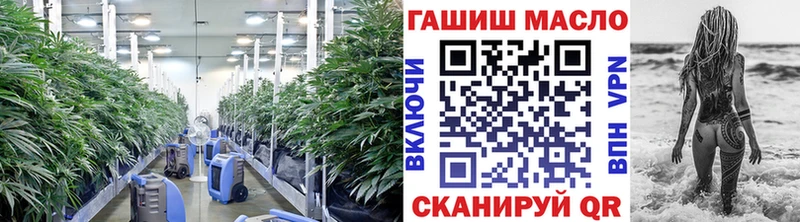ТГК Wax  Сокол 