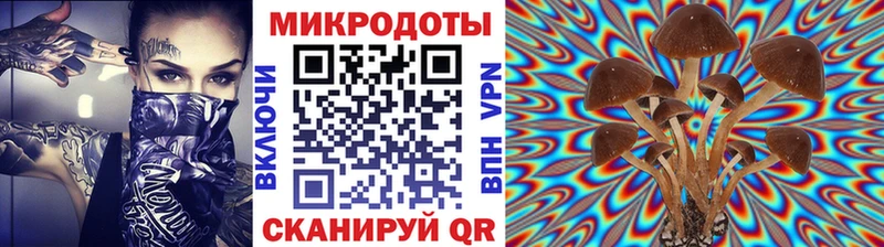 дарк нет состав  купить наркоту  Сокол  Галлюциногенные грибы мицелий 