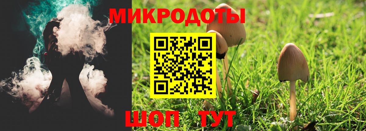 Псилоцибиновые грибы Cubensis Сокол