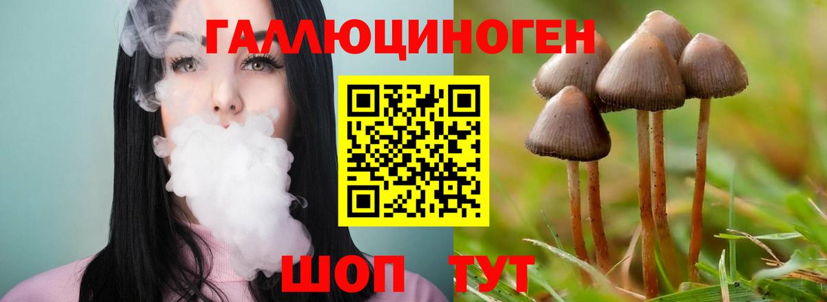 Псилоцибиновые грибы Magic Shrooms  Вход с VPN  Сокол  Галлюциногенные грибы MAGIC MUSHROOMS 